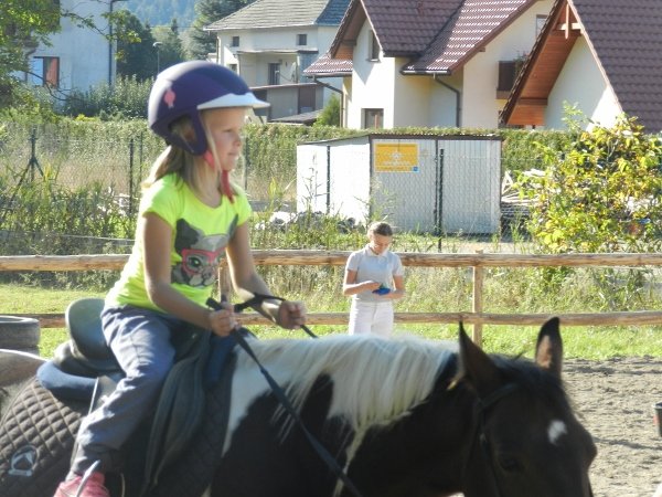 Babie Lato 2015